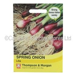 Thompson & Morgan Spring Onion Lilia